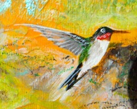 6 - Hummingbirds