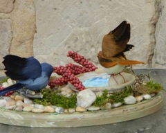  61 - Bird Bath